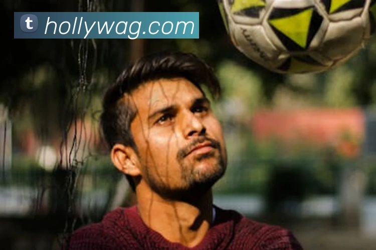 多媒体互动体验